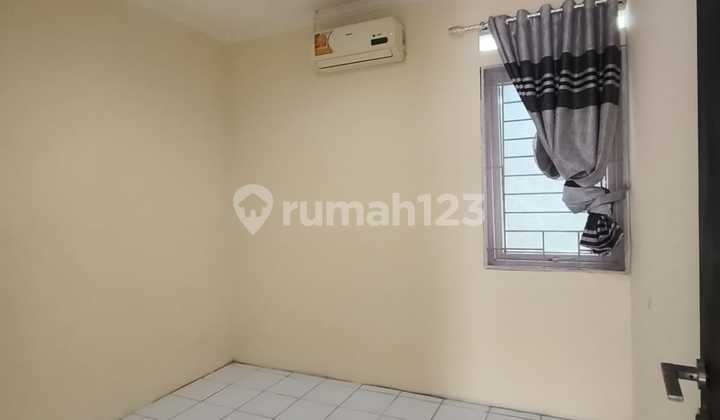 Golden Palm House (4X12.5M) 2