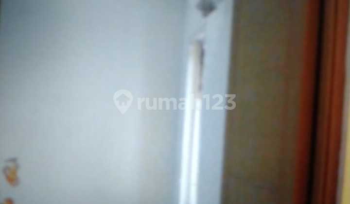 Apartment Palm Mansion (2 BR) 2