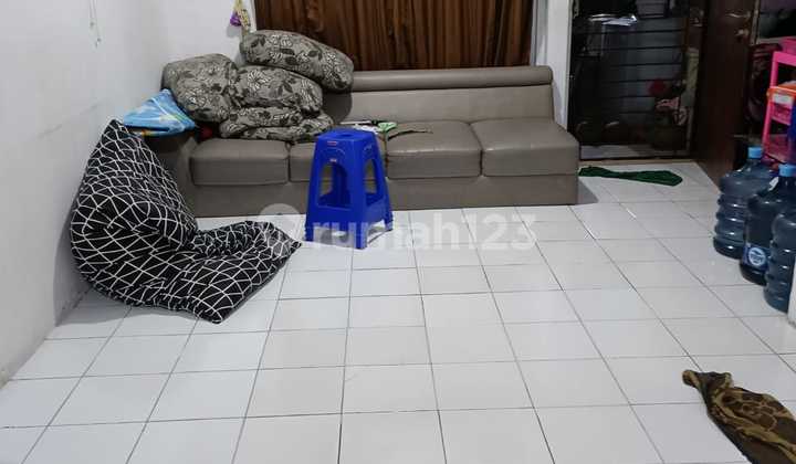 Golden Palm House (Size 4x15 m)