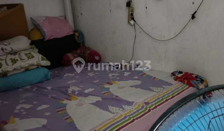 Rumah Golden Palm (Ukuran 4x15 m) 2