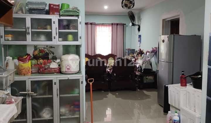 Golden Palm House (Size 4x15 m)