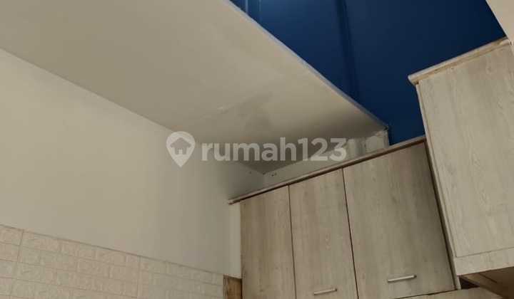 Rumah Golden Palm (Ukuran 3,6x12,5 m) 2