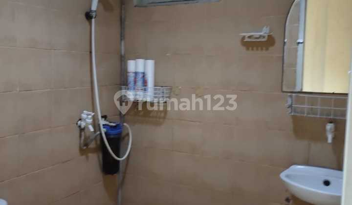 Apartment Palm Mansion (2 BR) 2