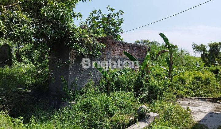 TANAH SIAP BANGUN PINGGIR JALAN BESAR KURIPAN MRANGGEN KARANGAWEN DEMAK 2