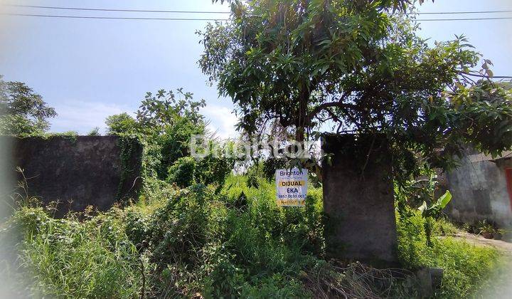 TANAH SIAP BANGUN PINGGIR JALAN BESAR KURIPAN MRANGGEN KARANGAWEN DEMAK 1