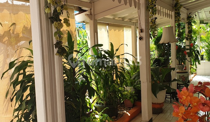 HOOK HOUSE ready to OCCUPY - SUNTER MAS, NORTH JAKARTA - Land Area 245 - 1.5 Floors - SHM 2