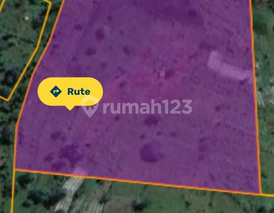 Tanah Murah Sudah Shm Lokasi Hanya 5 Menit Ke Highland Park Resort Bogor Tanah Murah Sudah Shm Lokasi Hanya 5 Menit Ke Highland Park Resort Bogor