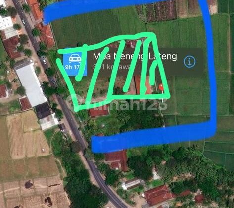 DIJUAL TANAH POTENSIAL – ROGOJAMPI, BANYUWANGI 1