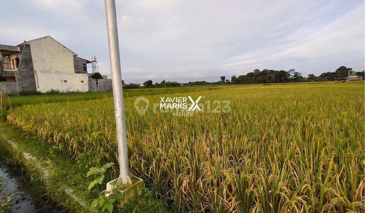 Tanah Strategis Kanigoro Blitar 2