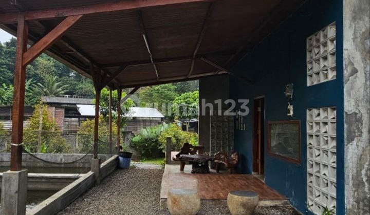 Rumah Usaha Strategis Murah Cafe Sulfat Blimbing Malang