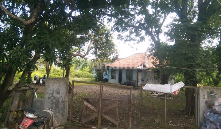 Tanah Mauk Gintung Sepatan Pinggir Jalan Raya Dijual Tanah Mauk Gintung Sepatan Pinggir Jalan Raya Dijual