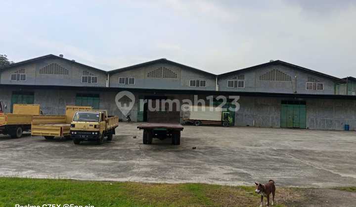 Warehouse No.3 Jati Uwung Tangerang for Sale 33.5M Including VAT Warehouse No.3 Jati Uwung Tangerang for Sale 33.5M Including VAT