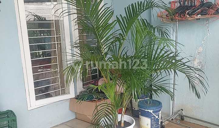 Perumahan Pinang Griya Ciledug Harga Dibawah Pasaran 2