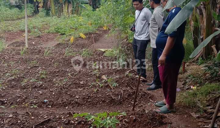 Tanah Pasar Kemis Sebelah Perumahan Bumi Indah Tangerang Tanah Pasar Kemis Sebelah Perumahan Bumi Indah Tangerang