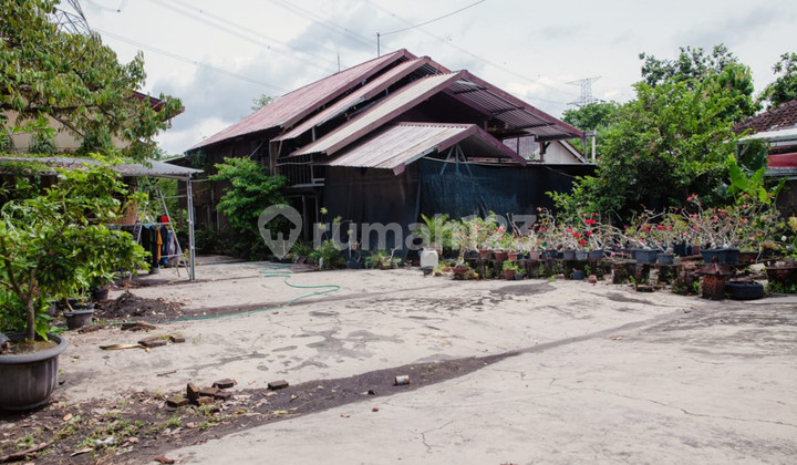 House & Warehouse 2518 Square Meters Near Grabah Museum Sewon Bantul