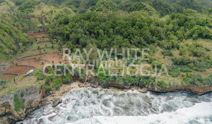 Dijual Tanah Luas 32.420 Meter Persegi Lokasi di Ngrenehan, Saptosari, Gunung kidul.. Dijual Tanah Luas 32.420 Meter Persegi Lokasi di Ngrenehan, Saptosari, Gunung kidul..