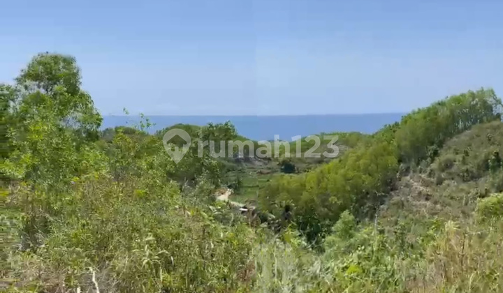 Dijual Tanah Luas 32.420 Meter Persegi Lokasi Dekat Pantai Butuh, Saptosari, Gunung kidul.