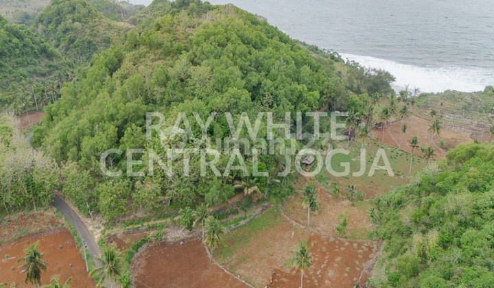 Dijual Tanah Luas 32.420 Meter Persegi Lokasi di Ngrenehan, Saptosari, Gunung kidul.. Dijual Tanah Luas 32.420 Meter Persegi Lokasi di Ngrenehan, Saptosari, Gunung kidul..