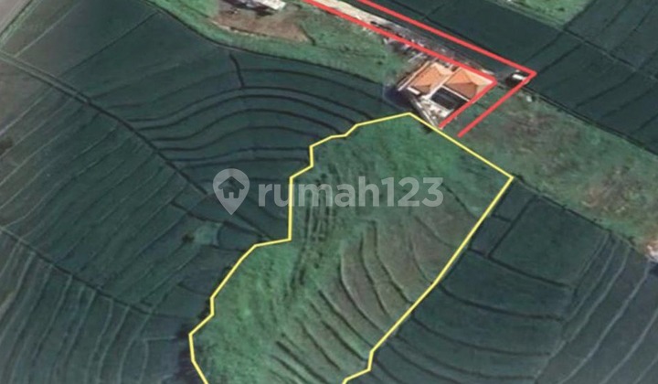 DIJUAL TANAH MURAH, DI DAERAH PERERENAN - CANGGU