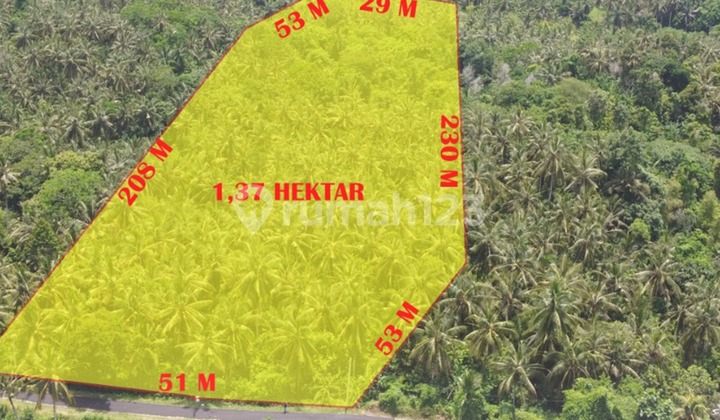 For Sale Strategic Land - West Selemadeg, Tabanan