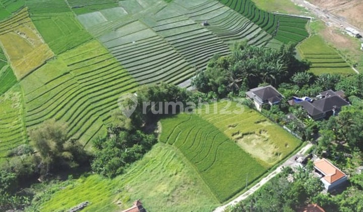 DIJUAL TANAH KAVLING VIEW SAWAH & LAUT DEKAT PANTAI YEH GANGGA