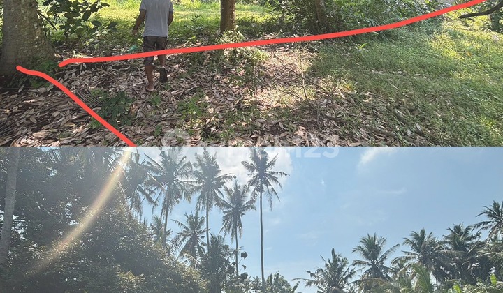 DISEWAKAN TANAH, DAERAH SIBANG GEDE