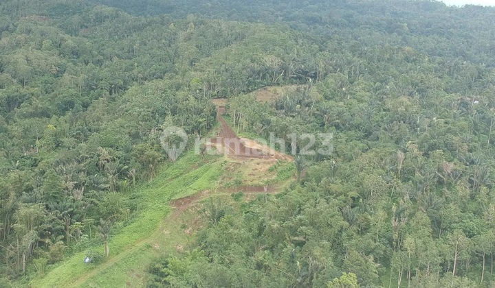LAND FOR SALE CLUSTER 2 - THE THE THRONE LAND, PENEBEL - TABANAN LAND FOR SALE CLUSTER 2 - THE THE THRONE LAND, PENEBEL - TABANAN
