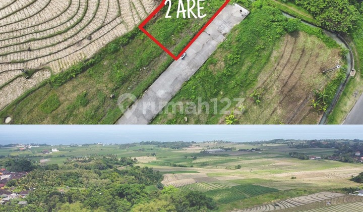 LAND FOR SALE, 2 AREAS, TABANAN REGION