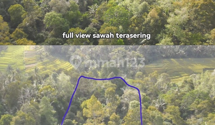 DIJUAL TANAH BONUS SUMBER MATA AIR, DAERAH BELIMBING - TABANAN