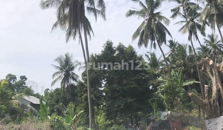DIJUAL CEPAT TANAH, DAERAH GILIMANUK DIJUAL CEPAT TANAH, DAERAH GILIMANUK