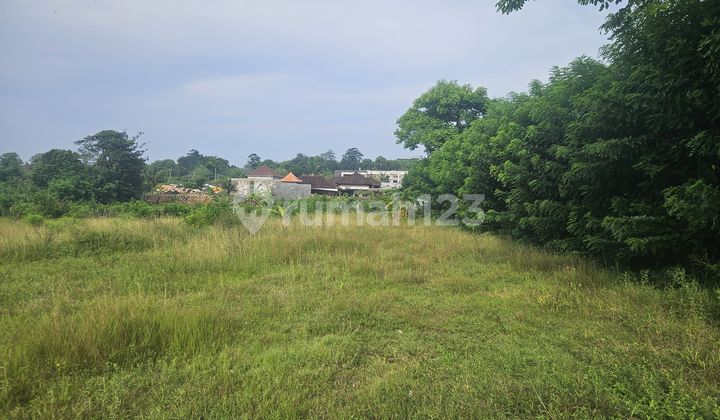 For Rent Tanah Premium - Pecatu , Kuta Selatan , Badung-Bali