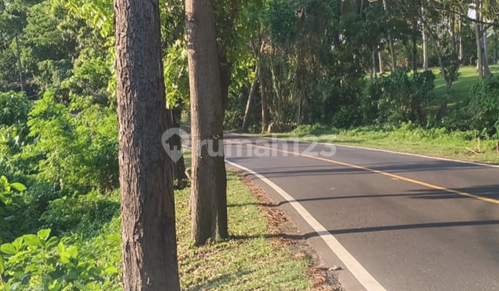 DIJUAL TANAH KOSONG DI JALUR DENPASAR - TABANAN - GILIMANUK DIJUAL TANAH KOSONG DI JALUR DENPASAR - TABANAN - GILIMANUK