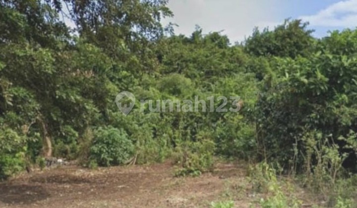DIJUAL CEPAT TANAH STRATEGIS, DAERAH PECATU - BADUNG