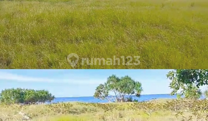 LAND FOR QUICK SALE, PANDAWAI AREA - SUMBA LAND FOR QUICK SALE, PANDAWAI AREA - SUMBA