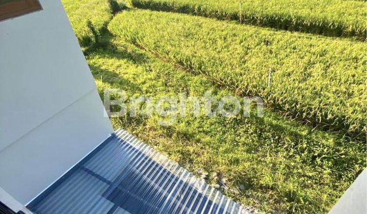 RUMAH VIEW SAWAH DI PATIH NAMBI UBUNG KAJA DENPASAR 2