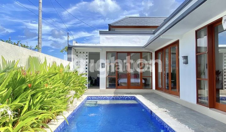 VILLA NEW RICEFIELD VIEW IN MERTANADI SEMINYAK