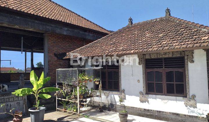 Rumah di Pinggir Jalan Raya Mengwi 1