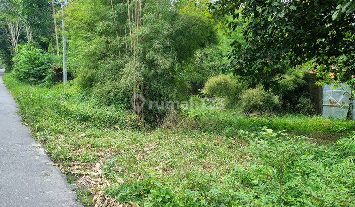 Tanah Luas Shm Murah Di Jl. Turgo Kaliurang Pakem Sleman 2
