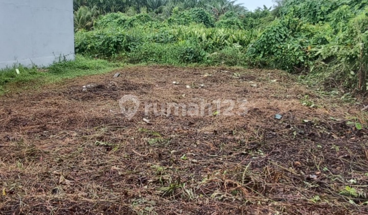 Land Plot Size 10x15 Sei Rasau Hulu Singkawang (6th Alley)