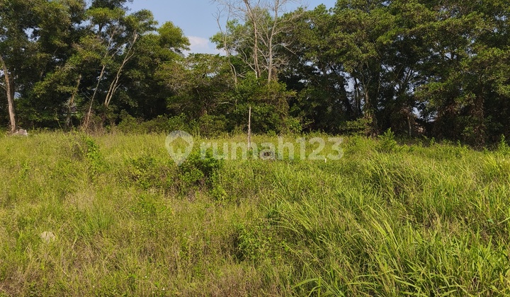 Tanah Kavling Siap Bangun 6X15 Depan Jl Tei Ho Singkawang