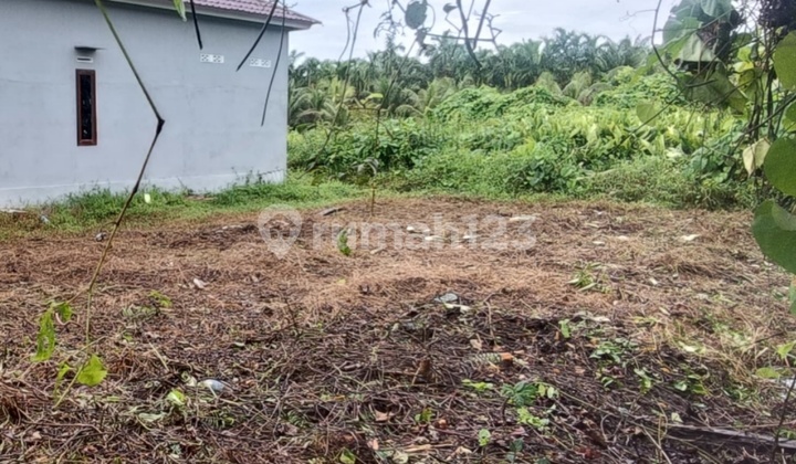 Tanah Kavling Ukuran 10X15 Sei Rasau Hulu Singkawang (6Tiau Kong)