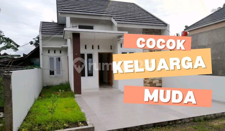 Cocok Untuk Keluarga Muda Rumah Asri Di Jogja Barat Cocok Untuk Keluarga Muda Rumah Asri Di Jogja Barat