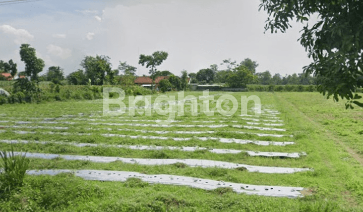 Investasi menguntungkan, Tanah di jalan raya Kediri - Blitar 2
