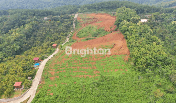 Investasi menguntungkan, Tanah strategis 24.990m2 dekat kota Kediri 2