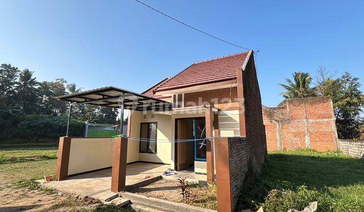 Hunian Strategis Row Jalan 6M Cicilan Bertahap Langsung AJB Hunian Strategis Row Jalan 6M Cicilan Bertahap Langsung AJB