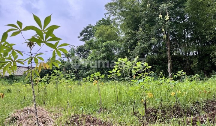 Tanah Siap Bangun Lokasi Strategis Unit Terbatas Akses 2 Mobil Tanah Siap Bangun Lokasi Strategis Unit Terbatas Akses 2 Mobil