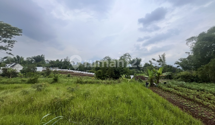 Investasi Terbaik Tanah Murah Sebelah Thursina Akses 2 Mobil