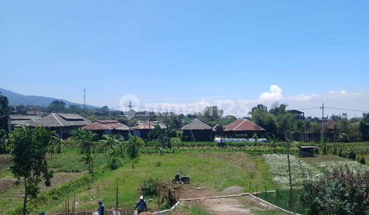 Villa Pitu Metro Include Fasum Lokasi Nyaman Jaminan Pendapatan Pasti Villa Pitu Metro Include Fasum Lokasi Nyaman Jaminan Pendapatan Pasti