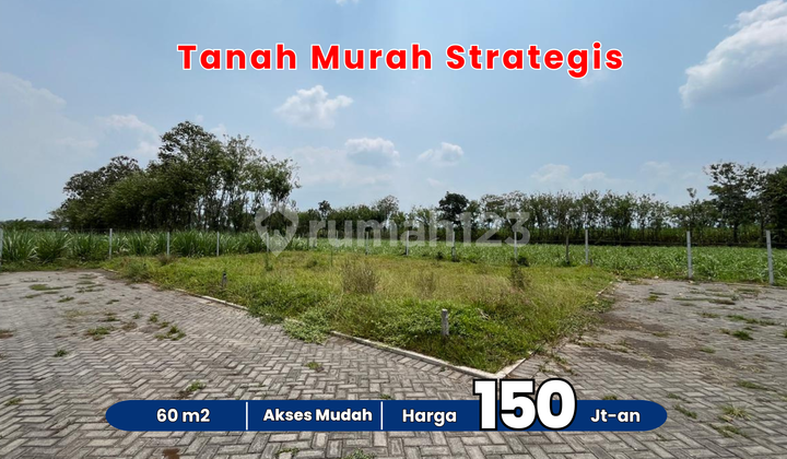 Investasi Menarik! Tanah Kavling 60m² di Area Perumahan Dekat Bandara Malang
