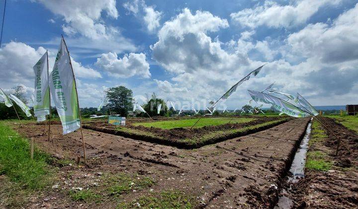 Tanah Kavling Dekat Kampus Unikama Malang
